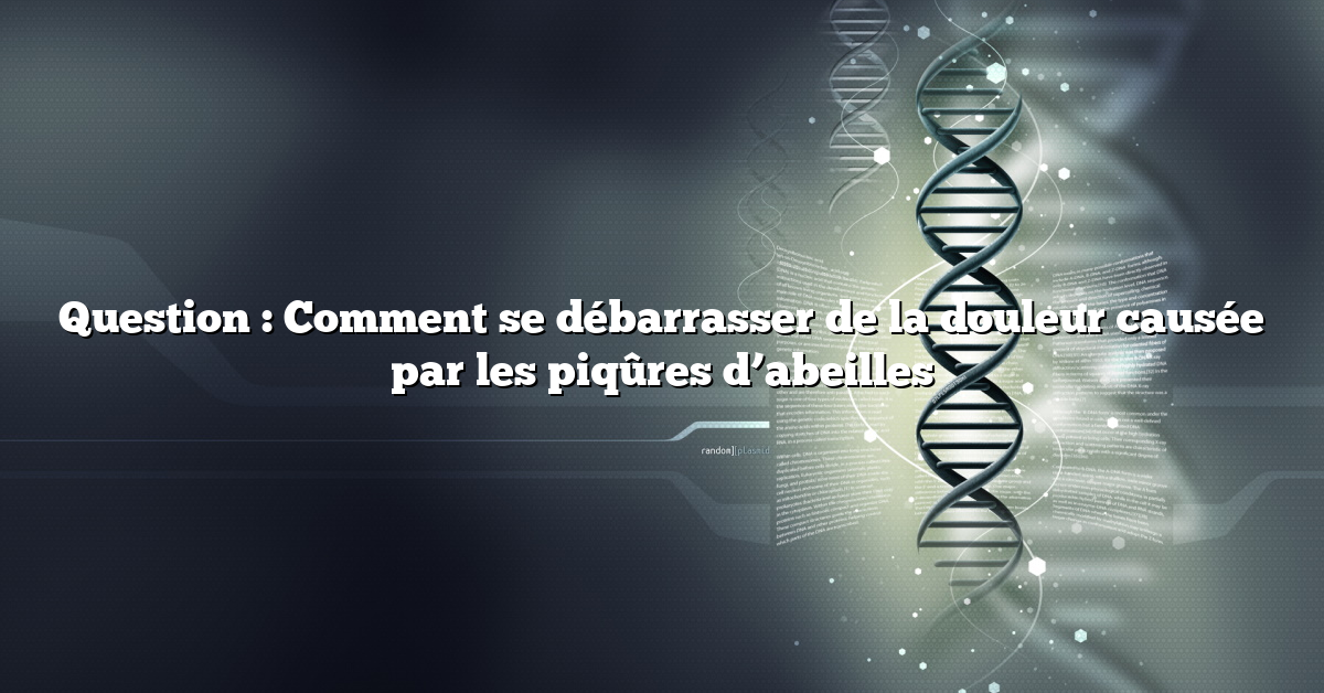 Question : Comment se débarrasser de la douleur causée par les piqûres d’abeilles